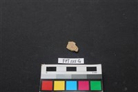 藏品(魚骨)的圖片