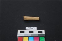 藏品(鹿骨)的圖片