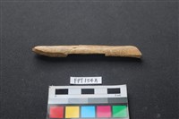 藏品(偶蹄類動物骨)的圖片