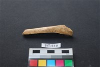 藏品(偶蹄類動物骨)的圖片