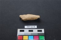 藏品(偶蹄類動物骨)的圖片