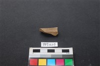 藏品(偶蹄類動物骨)的圖片