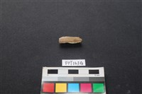 藏品(偶蹄類動物骨)的圖片