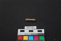 藏品(鹿骨)的圖片