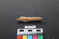 藏品(偶蹄類動物骨)的圖片