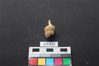 藏品(貝殼)的圖片