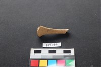 藏品(狗骨)的圖片