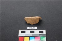 藏品(偶蹄類動物骨)的圖片