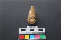 藏品(鹿骨)的圖片