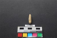 藏品(鹿骨)的圖片