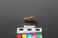 藏品(偶蹄類動物骨)的圖片