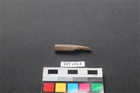 藏品(偶蹄類動物骨)的圖片