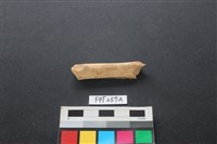 藏品(偶蹄類動物骨)的圖片