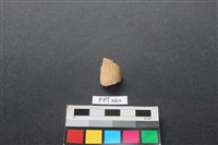 藏品(偶蹄類動物骨)的圖片