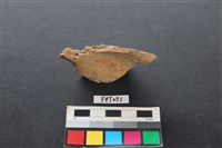 藏品(鹿骨)的圖片