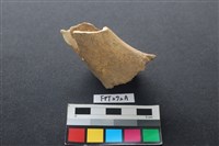 藏品(鹿骨)的圖片