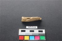 藏品(偶蹄類動物骨)的圖片