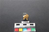 藏品(鹿骨)的圖片