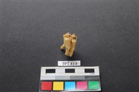 藏品(鹿骨)的圖片