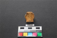 藏品(鹿骨)的圖片