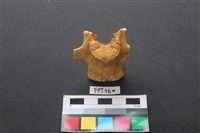 藏品(鹿骨)的圖片