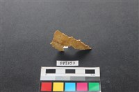 藏品(鹿骨)的圖片