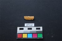 藏品(鹿骨)的圖片