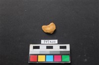 藏品(鹿骨)的圖片