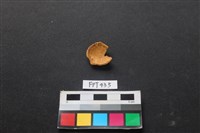 藏品(鹿骨)的圖片