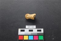 藏品(鹿骨)的圖片