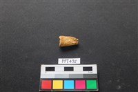 藏品(鹿骨)的圖片