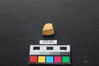 藏品(龜骨)的圖片