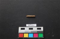 藏品(動物骨)的圖片