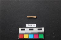 藏品(魚骨)的圖片