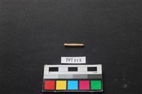 藏品(偶蹄類動物骨)的圖片