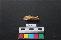 藏品(哺乳類動物骨)的圖片