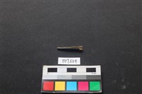 藏品(魚骨)的圖片