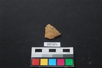 藏品(魚骨)的圖片