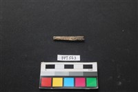 藏品(魚骨)的圖片