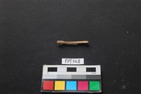 藏品(魚骨)的圖片