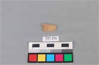 藏品(魚骨)的圖片