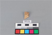 藏品(鹿骨)的圖片