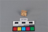 藏品(鯊魚骨)的圖片