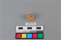 藏品(魚骨)的圖片