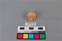 藏品(鯊魚骨)的圖片