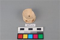 藏品(鯊魚骨)的圖片