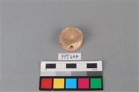 藏品(鯊魚骨)的圖片