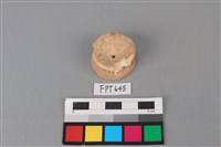 藏品(鯊魚骨)的圖片