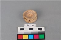 藏品(鯊魚骨)的圖片