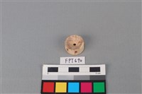 藏品(鯊魚骨)的圖片